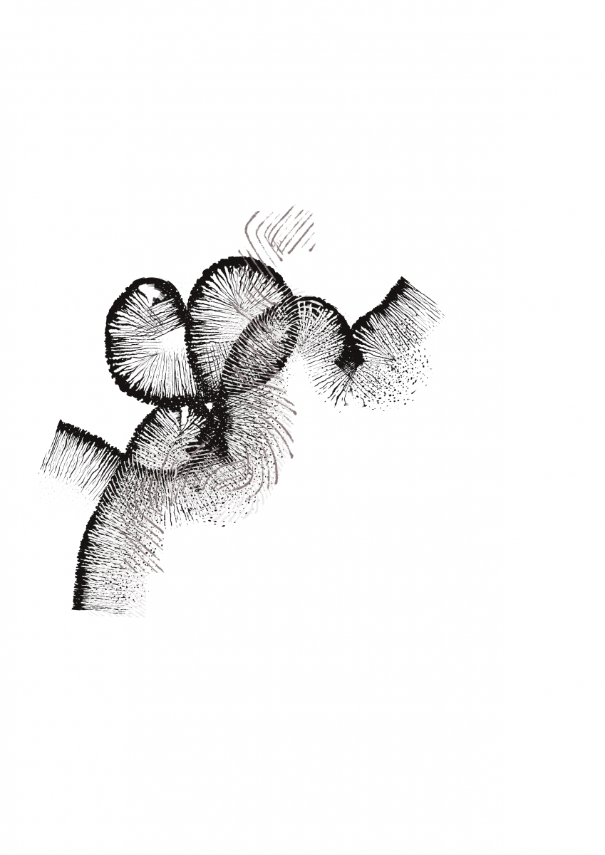 forme 4