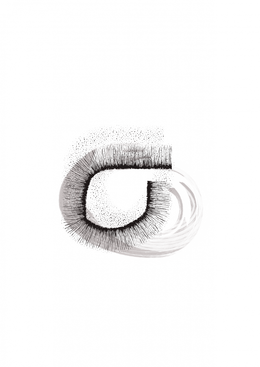 forme 2
