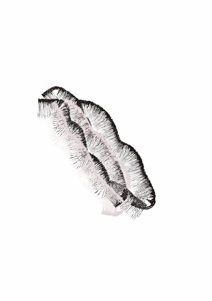 forme 3
