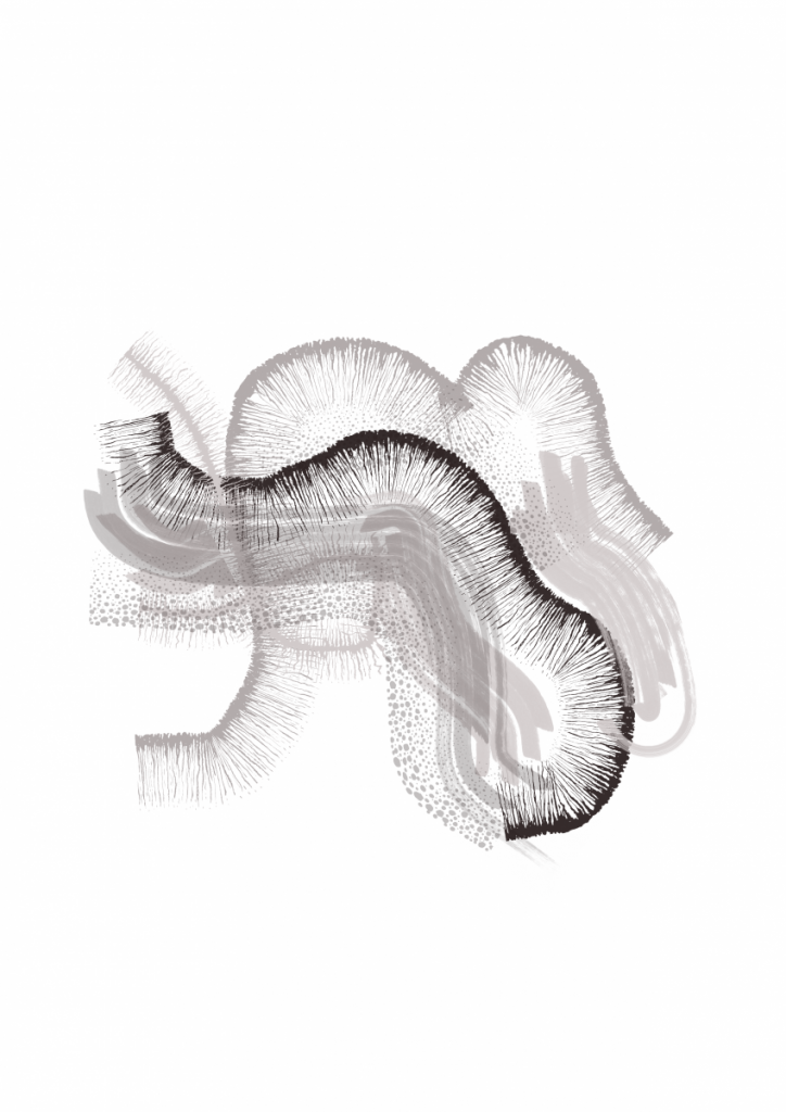 forme archipel